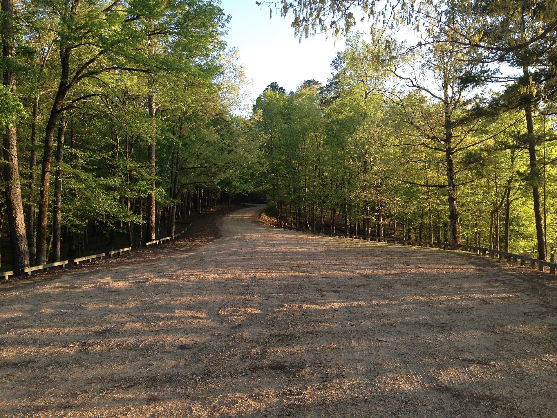Gravel road through hardwoods in Holly Springs National Forest